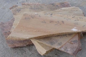 Crazy PAving Mint Fossil Rachana Stones Exporter India mail:care@rachanastones.com